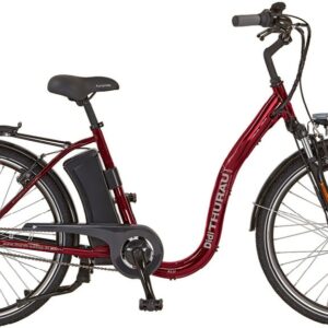 Didi THURAU Edition E-Bike Alu City Rad-Roller 3in1, 3 Gang, Frontmotor 350 W