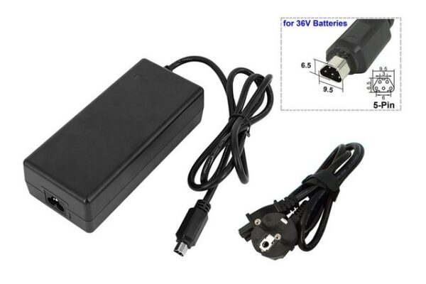 PowerSmart CAA081020E Batterie-Ladegerät (2A Netzteil für Phylion/Joycube E-Bike E-Bike Akku mit 5-poligem 42V 80W Li-Ion Stecker)