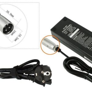 PowerSmart CP100L0702E.003 Batterie-Ladegerät (mit Netzteil für 24V Lithium-Ionen-Akku für E-Bike/E-Bike HP1202L2 3-Pin (29,40V Ausgang, 3-PIN XLR)